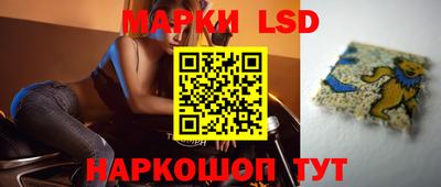 сатива Новозыбков