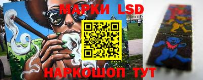 сатива Новозыбков