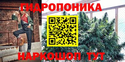 сатива Новозыбков