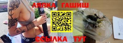 сатива Новозыбков