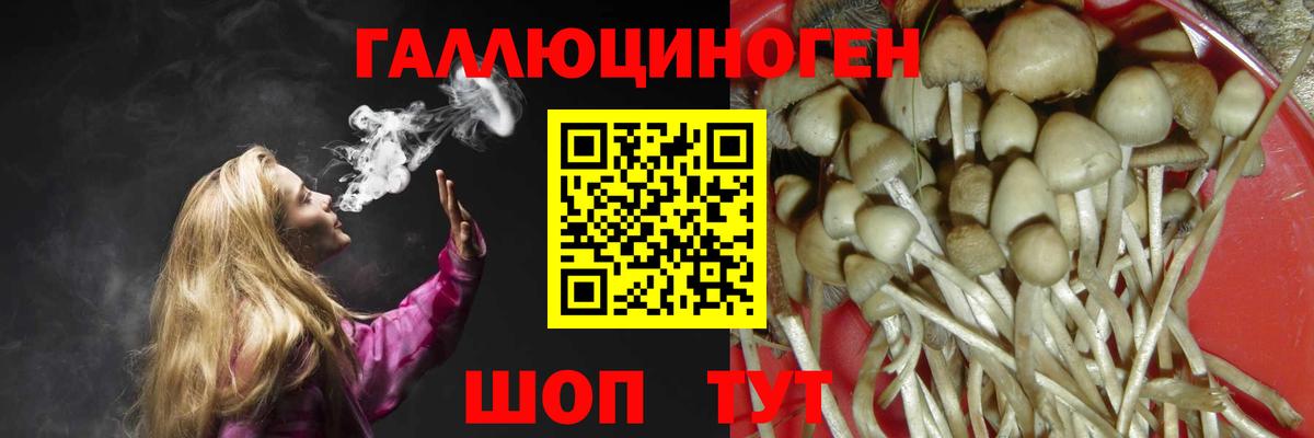 Галлюциногенные грибы мицелий  Вход с VPN  Ревда  Псилоцибиновые грибы GOLDEN TEACHER 