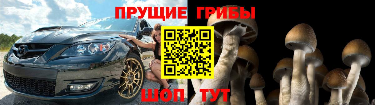 Галлюциногенные грибы Psilocybe Ревда